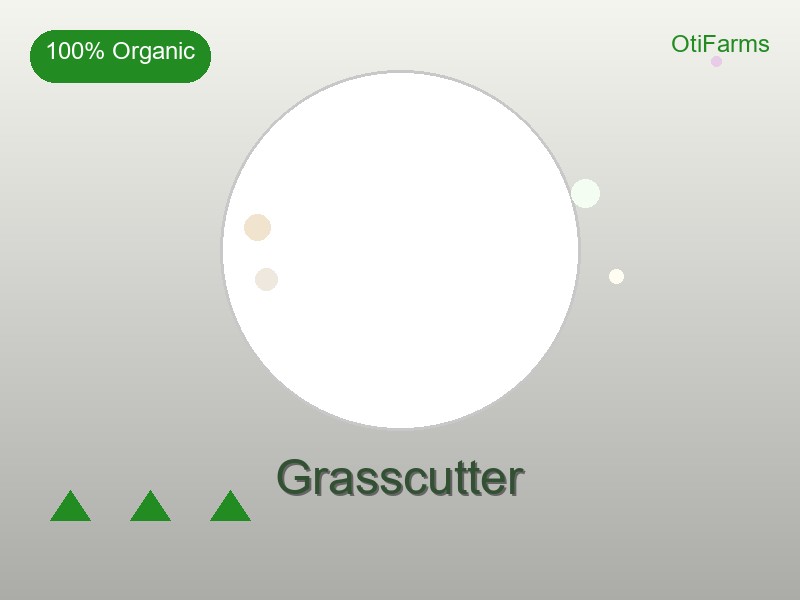 Grasscutter Meat